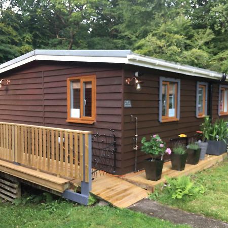 Scarlett Cabin Glan Gwna Villa Caernarfon Exterior photo